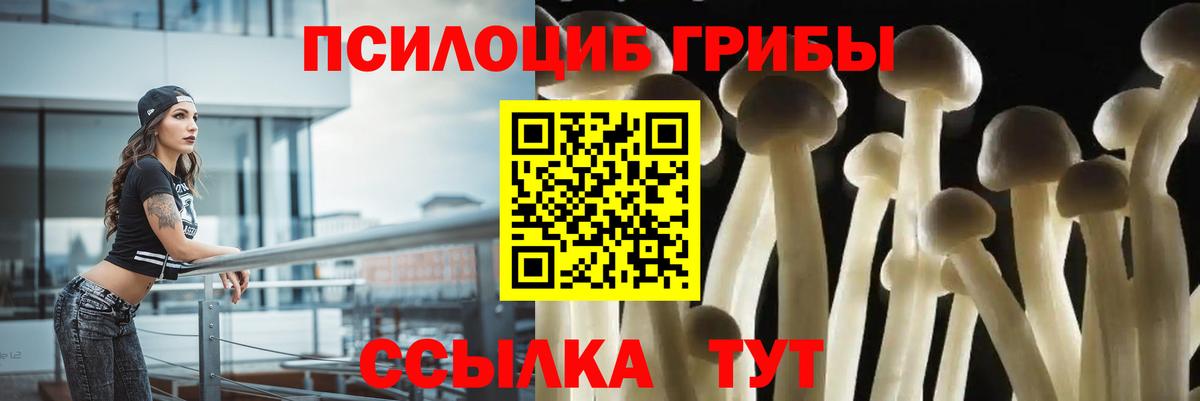 Псилоцибиновые грибы Psilocybine cubensis  Псилоцибиновые грибы Psilocybine cubensis  Вход с VPN  Бахчисарай 