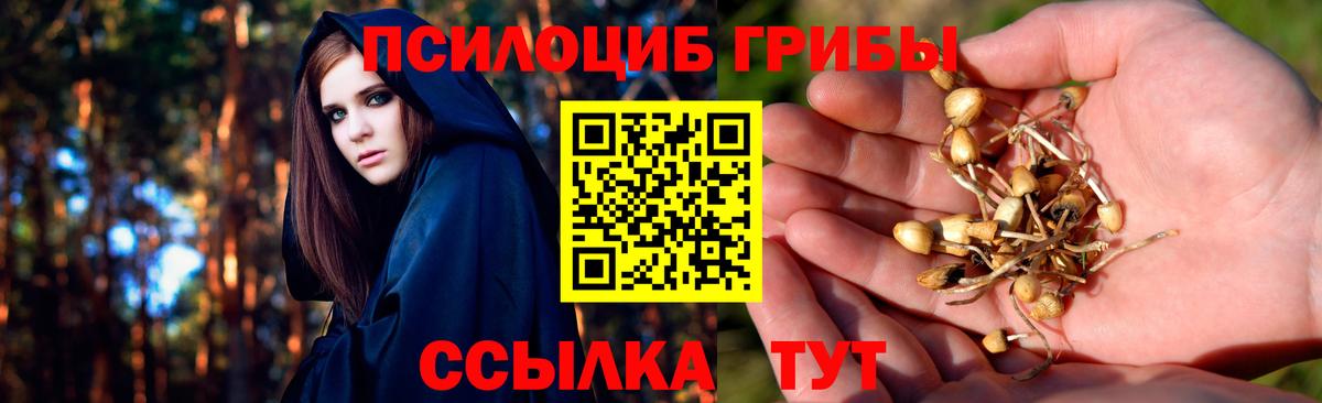 Галлюциногенные грибы MAGIC MUSHROOMS Бахчисарай